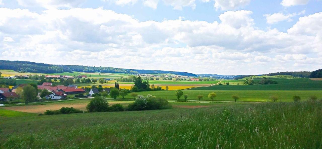 Ferienwohnung Im Barockwinkel Neuburg an der Kammel Luaran gambar